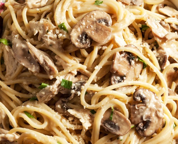 Pagotxa RZk: Pasta onddoekin